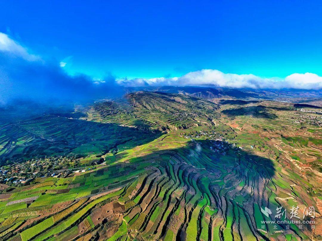 1-勁牌在甘肅岷縣建立的黃芪、黨參種植基地.jpg.jpg