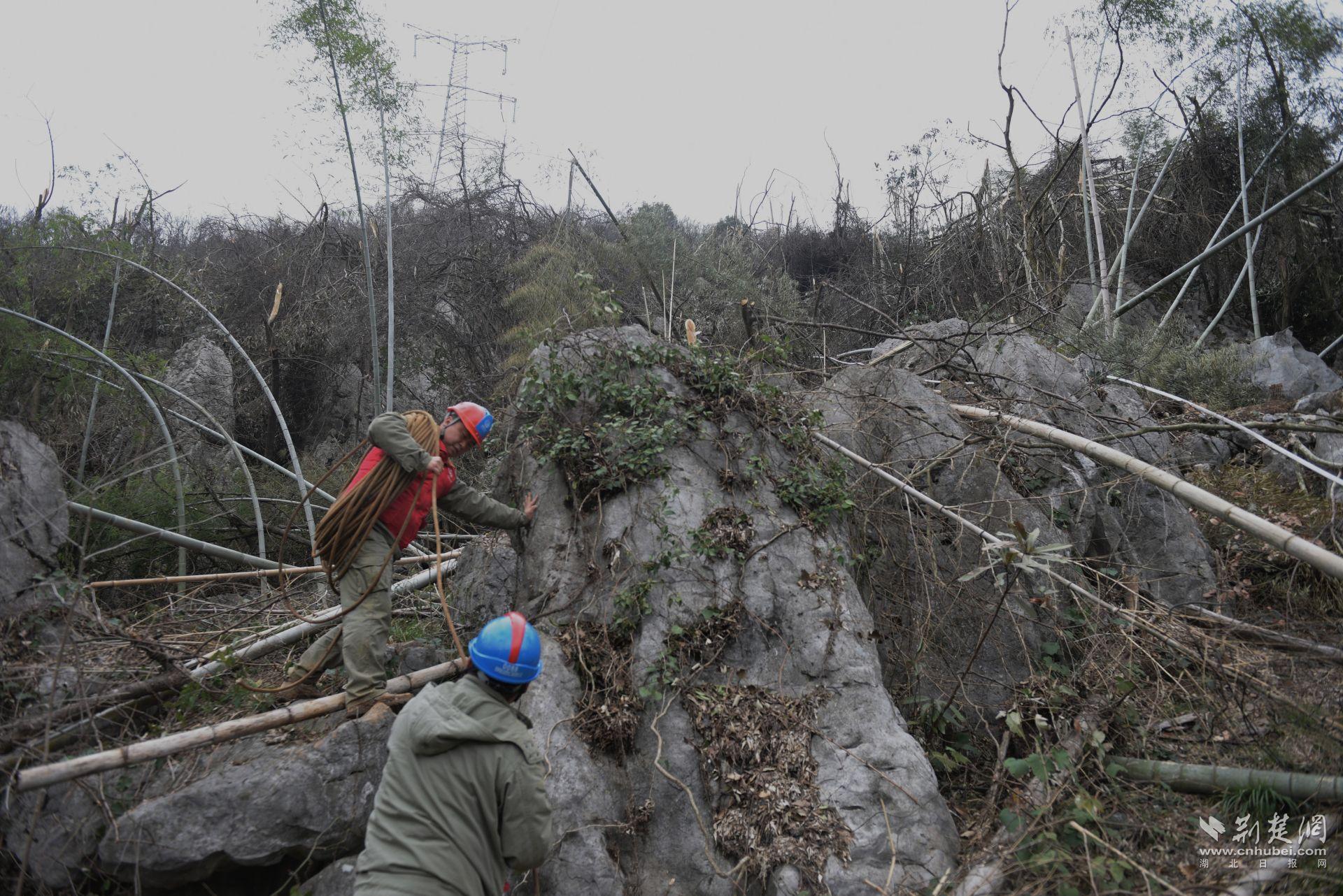 湖北送變電公司員工王文敏在湖北咸寧500千伏蒲咸一二回?fù)屝蕃F(xiàn)場(chǎng)進(jìn)行錦綸繩運(yùn)輸、導(dǎo)線展放工作。.jpg.jpg