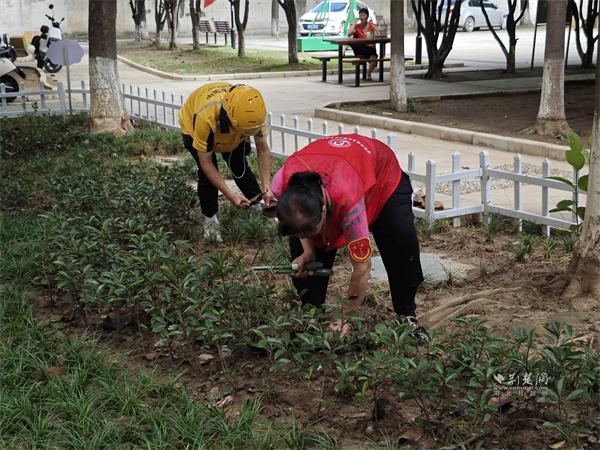 騎手和黨員志愿者一起在共享花園種清理落葉。.jpg