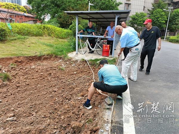 居民協(xié)助平整地面。.jpg.jpg